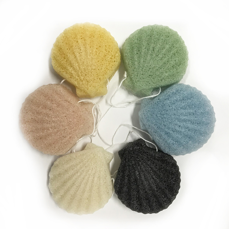 Shell Konjac Sponge